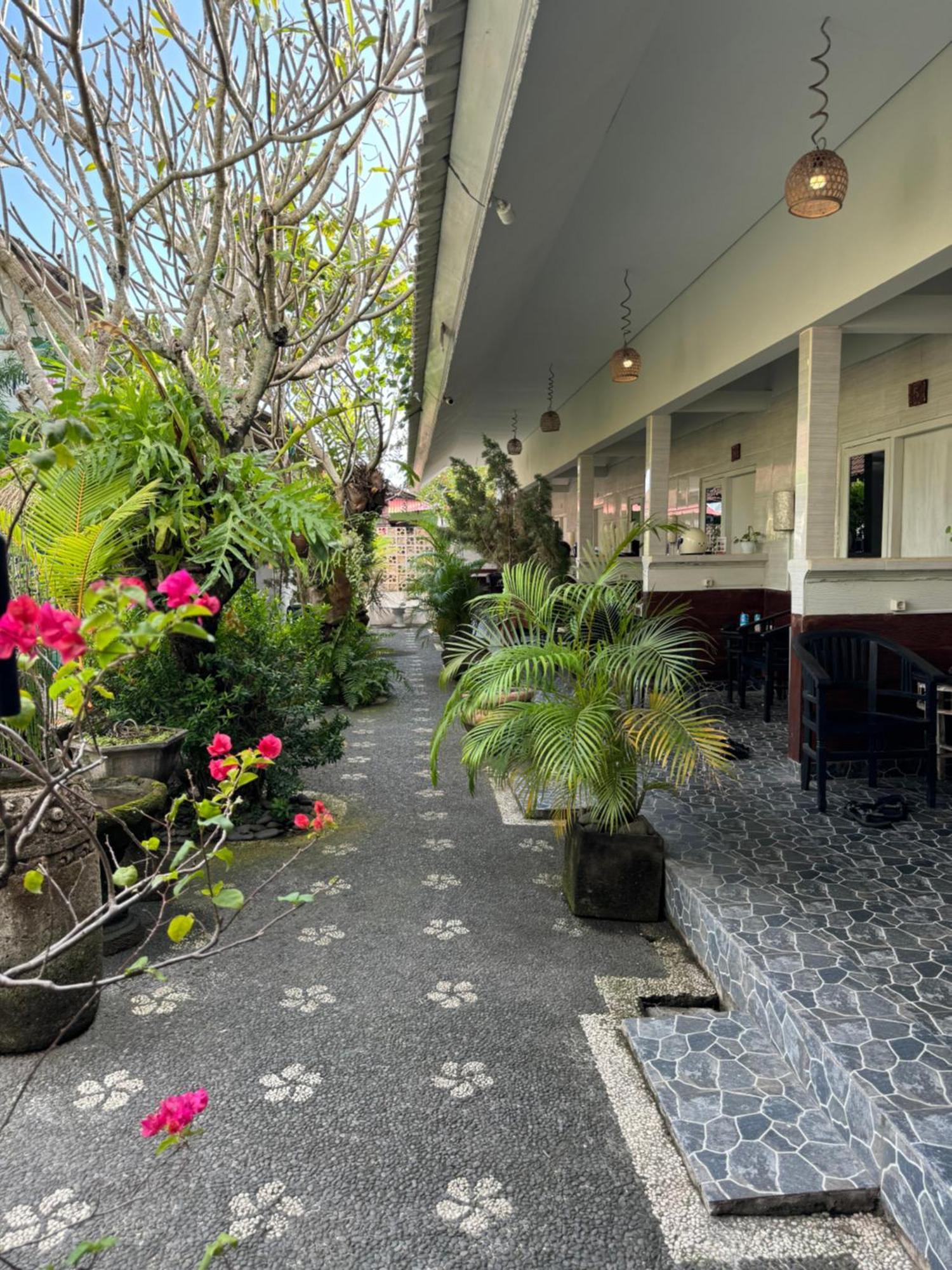 Guest House Home 46 Bali Canggu  Exterior photo